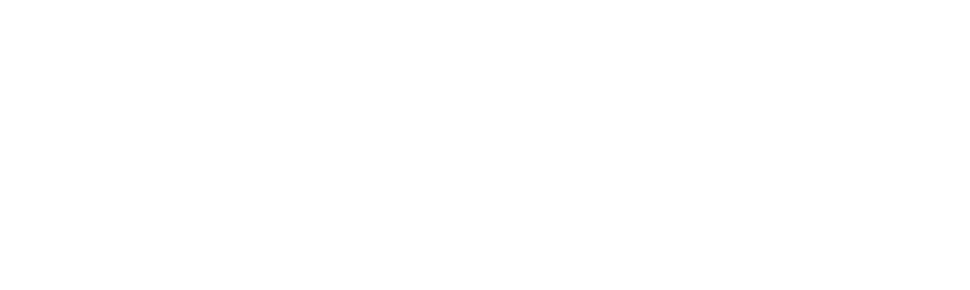 Logo en blanc de Transport René Lavoie